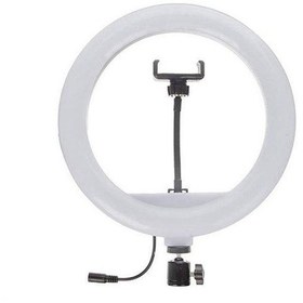 تصویر رینگ لایت سی یرا Sierra Ring Light 320A 