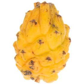 تصویر میوه دراگون زرد بسته 1 عددی ا Yellow Dragon Fruit, One Yellow Dragon Fruit, One