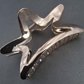 تصویر کلیپس ستاره دو رنگ 