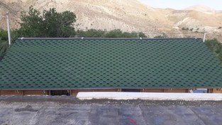 تصویر شینگل لانه زنبوری یا هگزا سبز Hexagonal Shingle