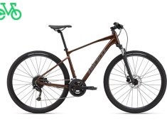 Giant roam best sale 1 2018