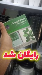 تصویر گلدان سایز۲۲ هیدروپونیک 