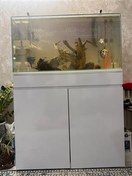 تصویر آکواریوم ریملس آکواریوم بک سامپ 