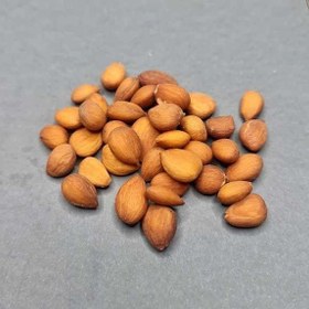 تصویر مغز آلو - یک کیلویی 