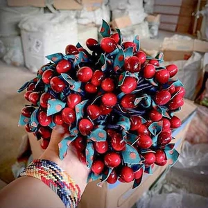 تصویر فروشگاه بازرگانی هدهد