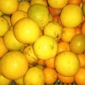تصویر پرتقال خونی و آب دار شهسوار با استثنایی 