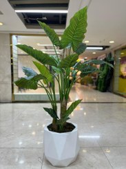 تصویر درختچه بابا آدم مصنوعی 