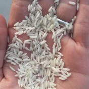 تصویر برنج هاشمی ارگانیک آستانه 10 کیلویی فوق اعلا درجه یک 