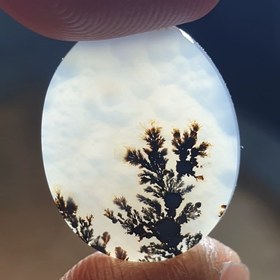 تصویر سنگ شجر قائن 