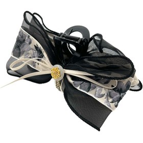 تصویر کلیپس پارچه ای پاپیون طرح دار 