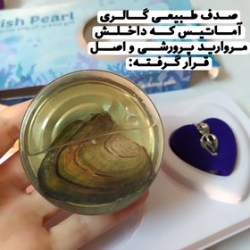 تصویر گردنبند مروارید عشق اصلی Love pearl necklace