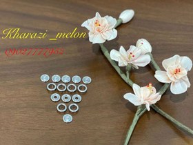 تصویر دکمه نوزادی سیلور 