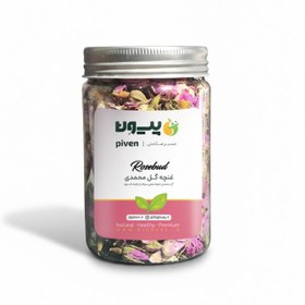 تصویر غنچه گل محمدی 