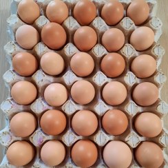 تصویر شانه ۳۰عددی تخم مرغ محلی A comb of 30 local eggs