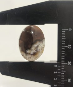 تصویر شجر پاییزی کد 303 