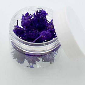 تصویر گل خشک فندقی بنفش 