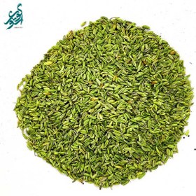 تصویر گیاه رازیانه 