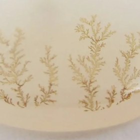 تصویر سنگ شجر کد 2389 