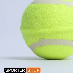 تصویر توپ تنیس حیوانات 