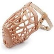 تصویر ست کامل پوزه بند 