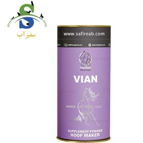 تصویر مکمل معدنی ویتامینه سم اسب ویان 