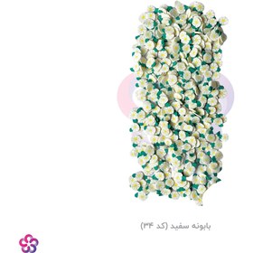 تصویر فیمو کالکشن 4 