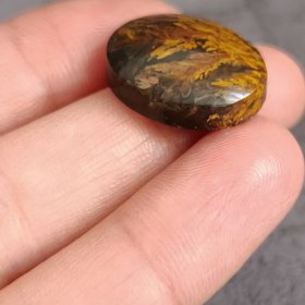 تصویر شجر پاییزه Shajar paize