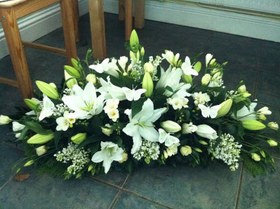 تصویر گل تریبون کد 11 