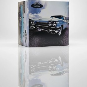 تصویر دستمال کاغذي گلريز ۱۰۰ برگ 