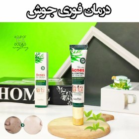 تصویر پماد ضدجوش چای سبز سادور ۲۰ گرم (Tea Tree Anti Acne Sadoer 20G) 