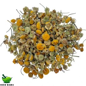 تصویر گل بابونه 