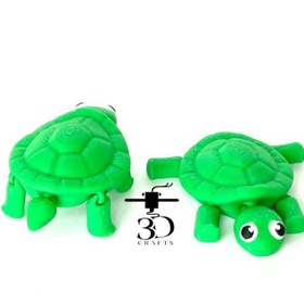 تصویر لاک پشت جیبی 