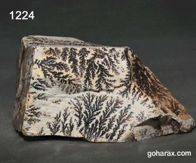 تصویر سنگ فسیل شجر دندریت 