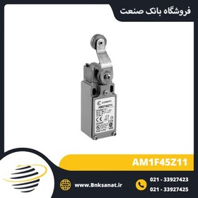 تصویر میکروسوئیچ کامپی ایتالیا ( COMEPI ) مدل AM1F45Z11 