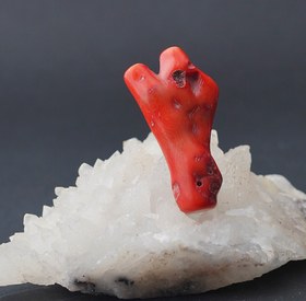 تصویر سنگ طبیعی مرجان سرخ 