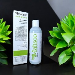 تصویر شامپو ماه سو حاوی روغن جوانه گندم (بسته ۵ عددی) تخفیف ویژه 