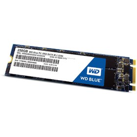 تصویر اس اس دی وسترن دیجیتال WD Blue SN5 ا Western Digital WD Blue SN550 M.2 2280 NVMe 250GB SSD Western Digital WD Blue SN550 M.2 2280 NVMe 250GB SSD