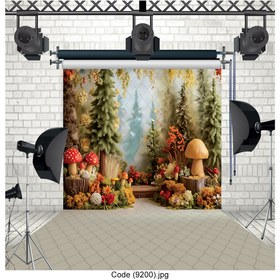 تصویر بکدراپ عکاسی Code (9200) 