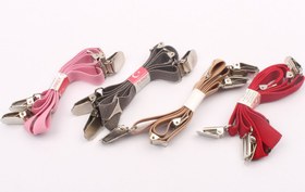 تصویر ساسبند (دارای رنگبندی) 