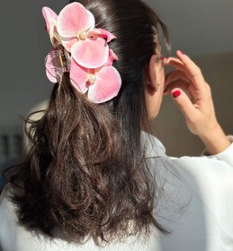 تصویر کلیپس ارکیده 