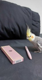 تصویر خط چشم یانگومی 