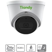 تصویر دوربین تیاندی دام 2 مگا پیکسل مدل TC-C32XN Tiandy TC-C32XN