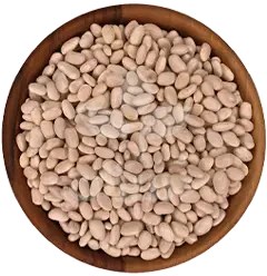 تصویر لوبیا سفید ممتاز 