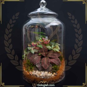 تصویر گلدان تراریوم پرنس بزرگ 