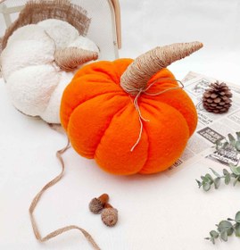 تصویر کدو حلوایی تدی - کدو تدی 