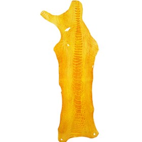 تصویر چرم ساق شتر مرغ OL042 سورت C 