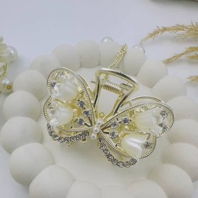 تصویر کلیپس مجلسی پاپیون 