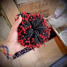 تصویر کش مو گیلاسی 