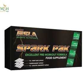 تصویر پمپ اسپارک پک تسلا | Tesla Pump SPARK PAK 