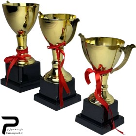 تصویر کاپ قهرمانی|کد 132 